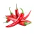 Import China high quality 2020 new crop for sale fresh chilli red chilli from China