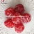 Import Finest Quality Preserved Dried Roseberry Plums from China