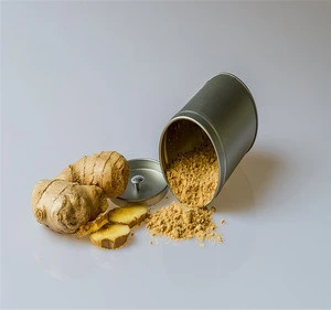 China suppliers black ginger root powder and Ginger Extract with Gingerols 20:1