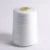 Import China supply Super Quality Nylon  sewing Thread from China