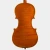 Import CHRISTINA Violin S100A Famous Brand Performing prices Free case string bow from China