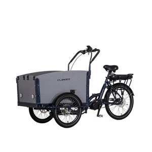 Classic 3 wheel bicycle middle drive three wheel electric cargo bike for family use