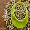 Coffee Bean Price in India