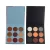 Import Colorful high pigment eyeshadow palette 9 color private label pressed eye shadow Eyeshadow Palette from China
