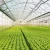 Import Commercial Mutli-Span Plastic Film Greenhouse with Irrigation Machines for Planting and Breeding from China