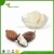 Import Cosmetic Grade Pure Raw Unrefined Shea Butter from China