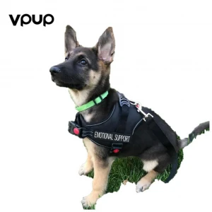 Custom Print Dog Harness Lead Floating Vest Life Jacket Safety Reflective En 471 Law Enforcement Tactical Pet Collars Leash
