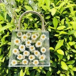 Custom Wholesale Women Clear Acrylic Purse Evening Clutch Bag