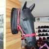 Customized design your own horse halter