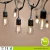 Import Customized S14 Globe black cable holiday led String Lights with Clear Bulbs, Indoor/Outdoor string lights Commercial Use from China