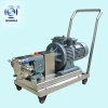 D-3A stainless steel sanitary lobe rotary emulsion pump condiment pump ketchup pump