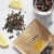 Import Damiana Leaf Tea Pure Herbal Series by Palm Beach Herbal Tea Company (28 Tea Bags) 100% Natural from China