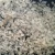Import de-icing road salt from Egypt