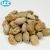Import Dead Burned Magnesite/DBM/dead burnt magnesia  MgO98/Refractory Material from China