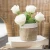Import Decorative Desk Jute Flower Pot Plante from China