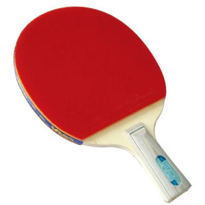 Design Low Price Table Tennis Racket with 3 Balls for Sale
