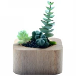 Display Customized Wooden Decoration Supplies Handmade Art wooden Crafts Wood Jars