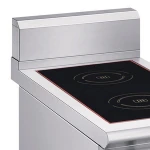 double burner induction cooker 2 burner