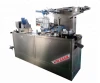 DPB140 Capsule/Tablet/Vitamin Automatic Blister Packaging Machine
