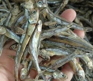 Dried Anchovy fish high quality with best price from Vietnam