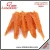 Dried Chicken Fish Chip Delicious Pet Snack
