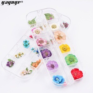 Dry Flower Nail Digit Nail And Smart Flower Printer