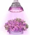 Import E27 Bulb 24W, Red Blue Full Spectrum, Plants Grow Light, Plant Seedlings Growth Flowering Tent For Indoor Growing Led Lamps from China