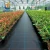 Import Eco-friendly polypropylene woven garden weed control/guard mulch sheet/weed mat from China