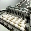 Whole White Fresh Eggs