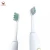 Import Electric Toothbrush Head Food Grade PP Soft Hair Brush Head from China