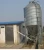 Import EOF series 5T Chicken Farm Fodder Silo for sale from China