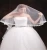 Import Factory direct sales new bridal veil long lace tail wedding veil floating wedding veil from China