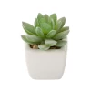 Factory direct selling mini artificial potted plant with best quality ES0519