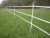 Import factory price electric fence posts plastic step in post EST048W from China
