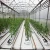 Import Factory price tunnel selling plastic greenhouses used for sale from China