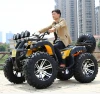 Fashion style 250cc atv off road gas motorcycle 4x4 atv