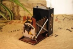 Film Camera