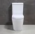 Import Foshan European design two piece ceramic toilet bowl from China