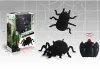 Free sample Novel electric remote control climbing cool spider toy with light for FOB price