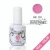 Import free sample Private Label gel uv nail polish from China