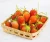 Import Fresh Berries Fruits Eco Friendly Packages Korea Sweet Golden Strawberry from South Korea