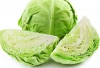 Fresh Exporting Agricultural Vegetables Fresh Cabbage From Trung My Company Vietnam