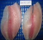 FRESH FROZEN TILAPIA WHOLE ROUND/ FILLET OF ALO SEAFOOD CO., LTD