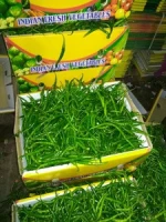 Fresh Green Chilly /G4 Chillys/Fresh Indian Vegetables!