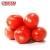 Import Fresh pakistani hybrid tomatoes for sale from Pakistan