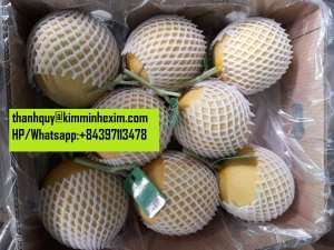 FRESH ROCK MELON WITH GOOD PRICE FROM VIETNAM