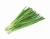 Import FRESH SCALLIONS  FOR SALE from South Africa