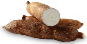 Import Fresh Tapioca Cassava Manioc Yucca Roots From Sri Lanka Find Fob Prices Tradewheel Com