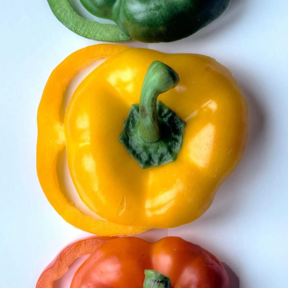 Fresh Vegetables Capsicum Mix color  sweet pepper, green, yellow, red Chili, Sweet bell pepper