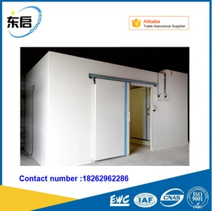 frozen cold room for meat and fish cold room freezer manufacturers